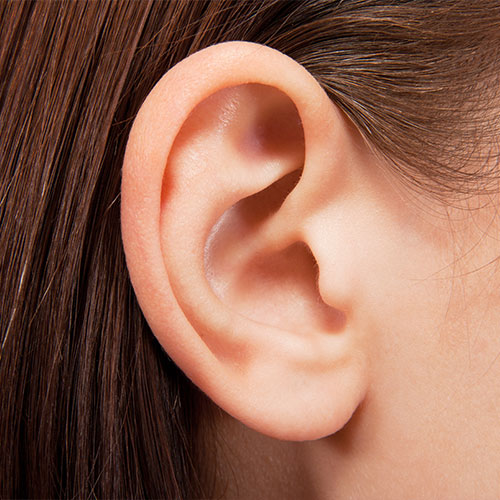 ear-of-girl Girl's ear